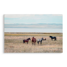 Load image into Gallery viewer, Horse Framed Wall Art Decor For Living Room - Denim / Brown