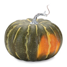 Load image into Gallery viewer, Plastic Pumpkin Thanksgiving Pumpkin Tabletop Sculpture (Set of 2) - Green / Orange