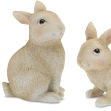 Load image into Gallery viewer, Figurine Tabletop Sculpture (592962) - Brown