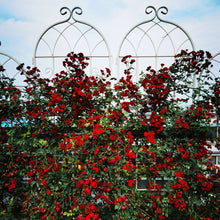 Load image into Gallery viewer, Metal Garden Rustproof Trellis For Climbing Plants Outdoor Flower Support