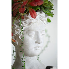 Load image into Gallery viewer, Greek Style Cement Head Planter Indoor Outdoor Home, Garden Decor - Gray