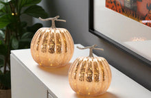 Load image into Gallery viewer, Pumpkin Thanksgiving Pumpkin Tabletop Sculpture With LED (Set of 2) - Orange / Brown