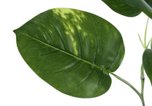 Load image into Gallery viewer, 54" Tall, Artificial Plant, Dieffenbachia Tree, Indoor, Faux, Fake, Floor, Greenery, Potted, Real Touch, Decorative - Green / Black