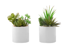 Load image into Gallery viewer, Artificial Succulent Plants (Set of 2)