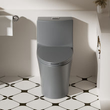 Load image into Gallery viewer, 1 Piece Toilet With Dual Flush And Soft Closing Seat