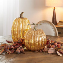 Load image into Gallery viewer, Pumpkin Thanksgiving Pumpkin Tabletop Sculpture With LED (Set of 2) - Orange