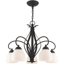 Load image into Gallery viewer, 20" Five Light Dimmable Chandelier With Shades - Black