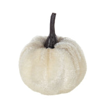 Load image into Gallery viewer, Velvety Pumpkin In Mesh Bag, Bag / 12, For Holiday Harvest Festival Fall Festival & Thanksgiving (Set of 4) - White
