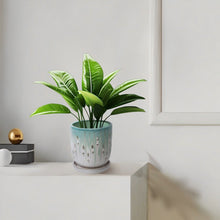 Load image into Gallery viewer, Flowerpot With Drainage Hole (Set of 2)