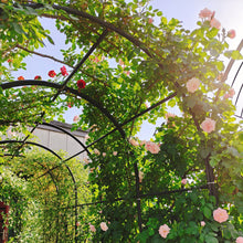 Load image into Gallery viewer, Metal Garden Arch With Gate High Climbing Plants Support Rose Arch Outdoor - Black