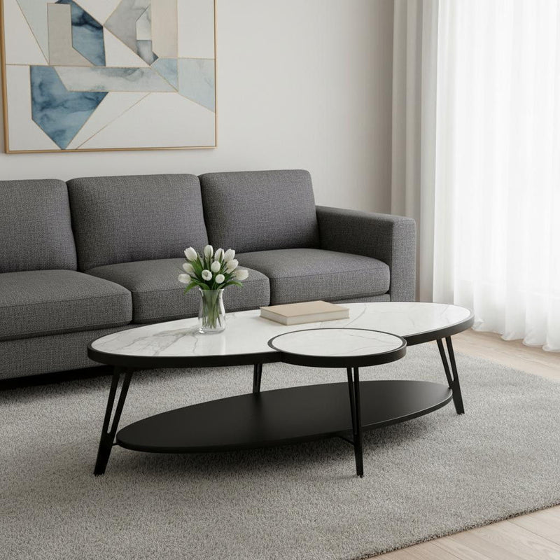Sintered Stone Iron Oval Coffee Table With Shelf - White / Black