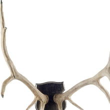 Load image into Gallery viewer, Decorative Wall Sculpture - Natural
