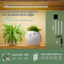 Load image into Gallery viewer, Plant Stand Indoor With Grow Light, 8 Tiered Tall Indoor Plant Shelves For Multiple Plants - Walnut / Black
