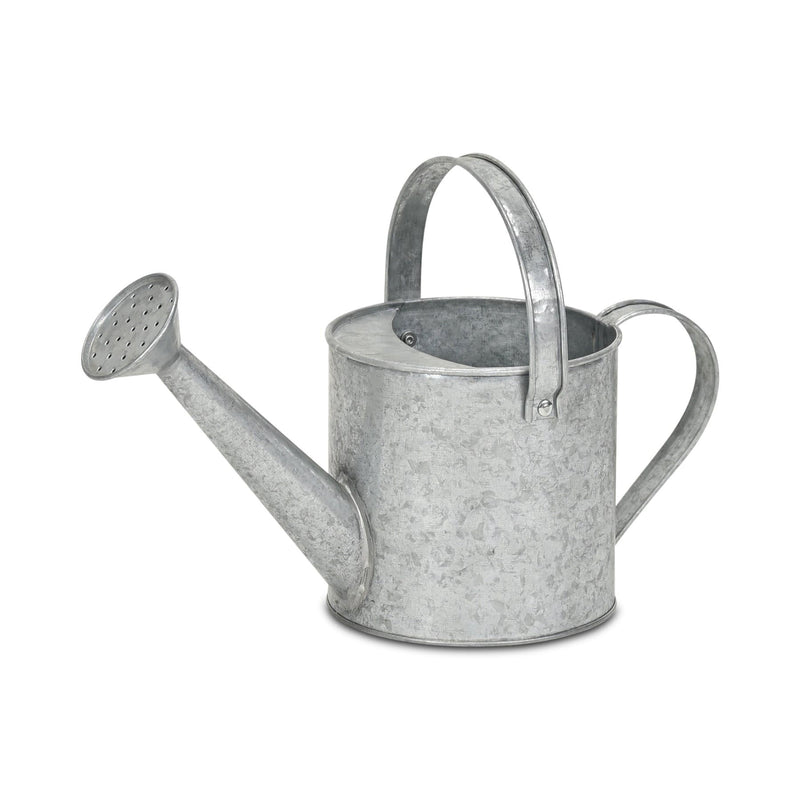 Galvanized Decorative Watering Can (635820) - Gray