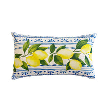 Load image into Gallery viewer, Summer Fresh Lemon Lumbar Outdoor Pillows - Multi
