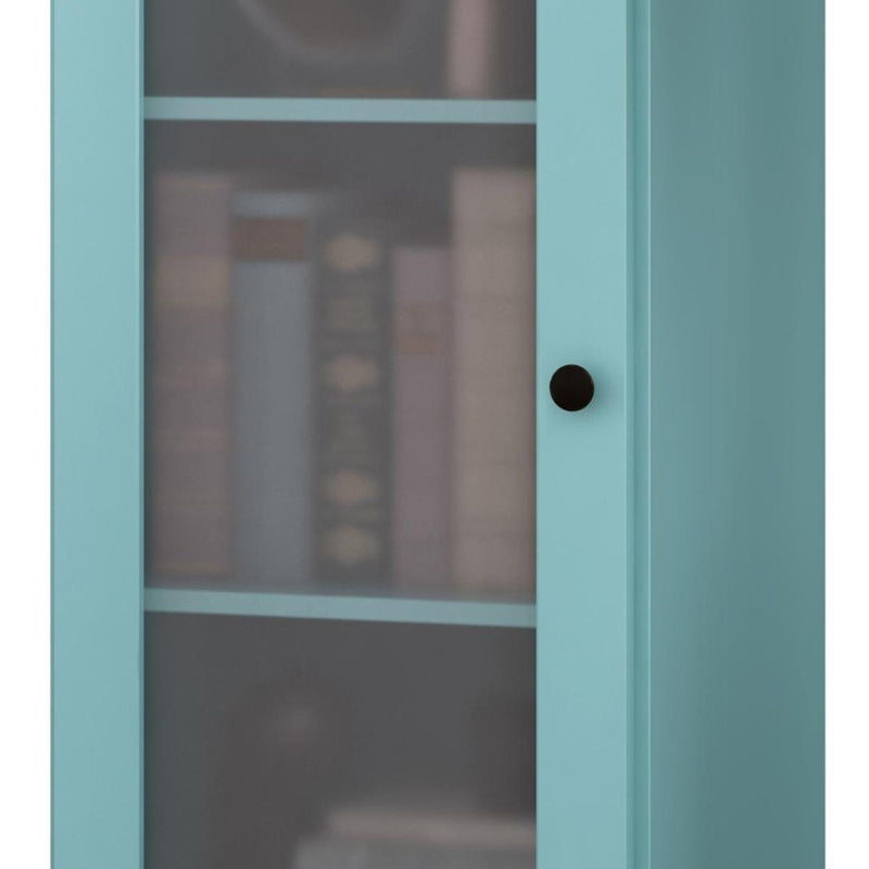 Solid Wood Adjustable Three Tier Library Bookcase With One Door (751348) - Aqua