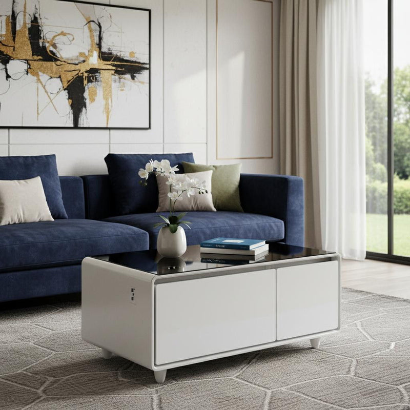 Glass Acrylic Solid Coffee Table With Two Drawers - Black / White
