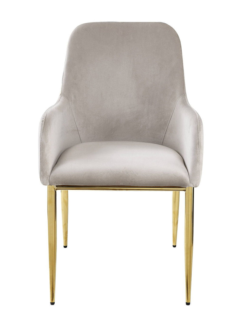 Velvet Wood Metal Dining Side Chairs (Set of 2) - Gray