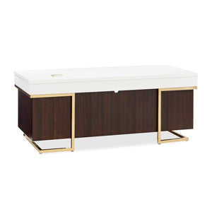 Belmont Place - Desk - White / Dark Brown