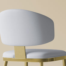 Load image into Gallery viewer, Modern Dining Chairs For Kitchen (Set of 2)
