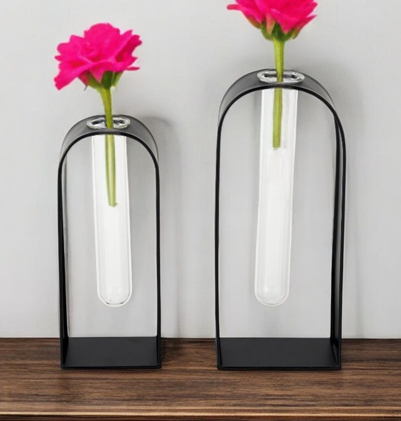 Test Tube Decor Pieces (Set of 2) - Black