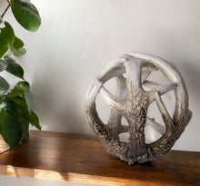 Load image into Gallery viewer, Faux Antler Decorative Orb - Off White / Brown
