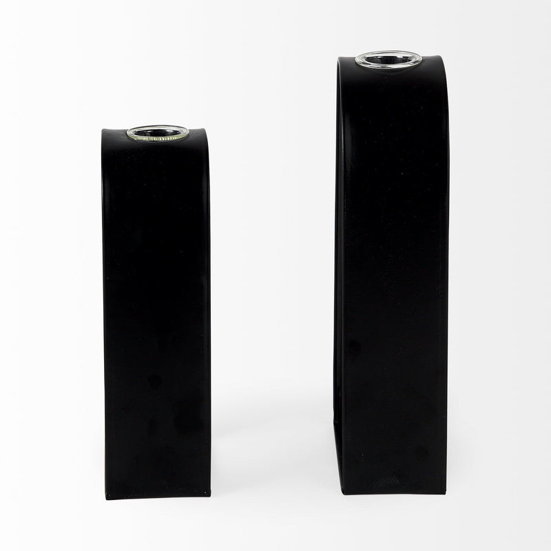 Test Tube Decor Pieces (Set of 2) - Black