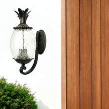 Load image into Gallery viewer, Lanai 3-Light Metal Wall Light - Black Coral
