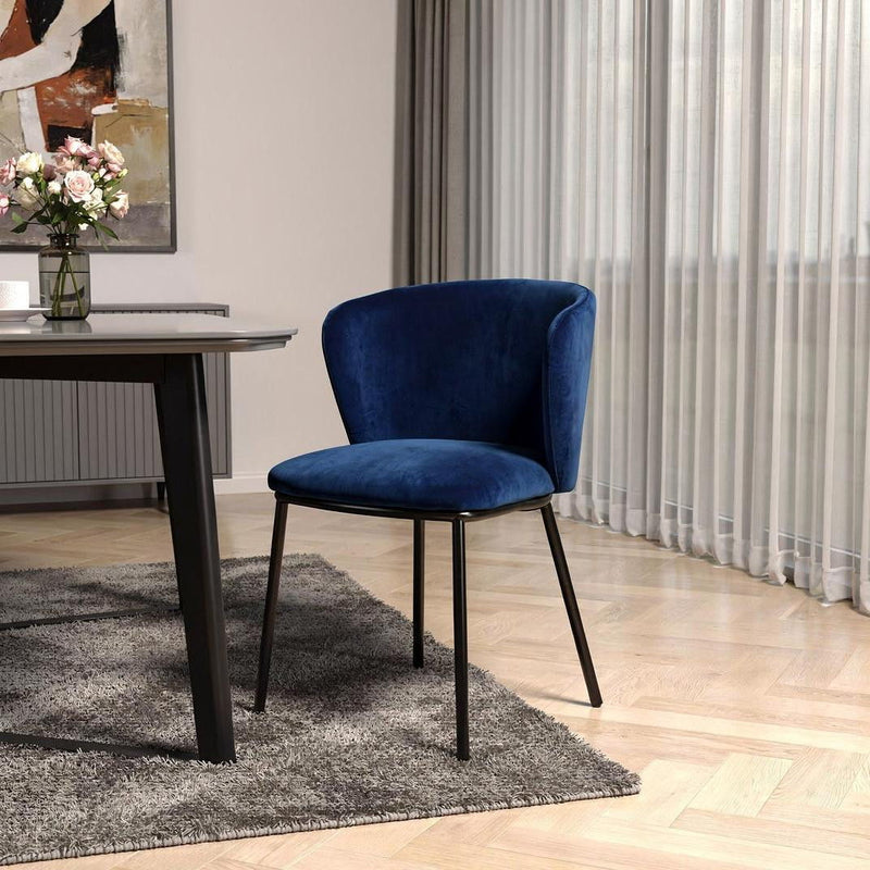 Royal Modern Dining Chairss (Set of 2) - Blue / Black