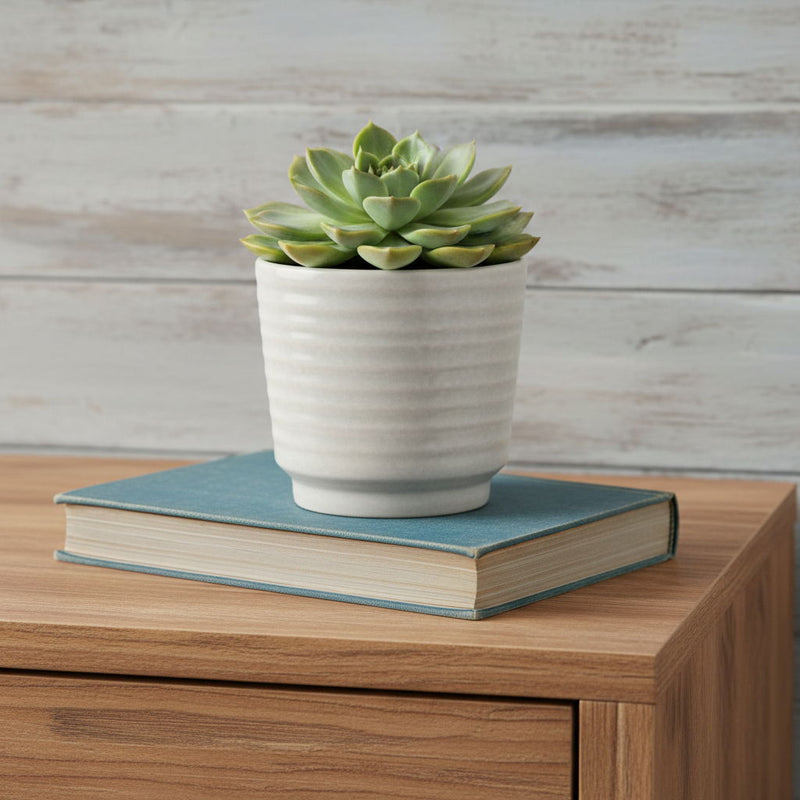 Round Pot Planter (487407) - White
