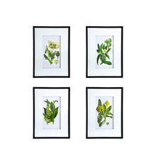 Load image into Gallery viewer, Botanical Flower Wall Art, Home Decor For Living Room Dining Room, Bedroom, Hallway (Set of 4) - White / Blue
