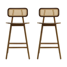 Load image into Gallery viewer, Bari - Indoor Wood Barstool (Set of 2)
