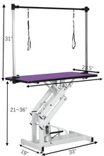 Load image into Gallery viewer, Hydraulic Pet Grooming Table With "H" Arm
