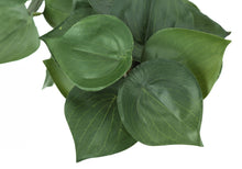 Load image into Gallery viewer, Artificial Alocasia Plant (Set of 2)
