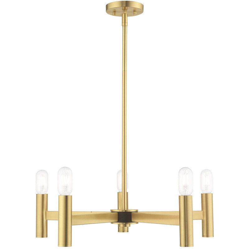 19'' Five Light Dimmable Chandelier With Shades - Brass