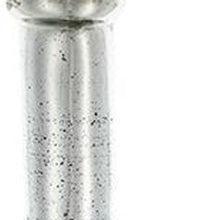 Load image into Gallery viewer, Floral Bottle Table Vase (574272) - Antiqued Silver
