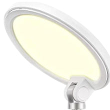 Load image into Gallery viewer, 22" Metal And Plastic Adjustable Portable Desk Lamp LED With Phone Clamp - White

