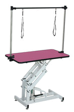 Load image into Gallery viewer, Hydraulic Pet Grooming Table With "H" Arm
