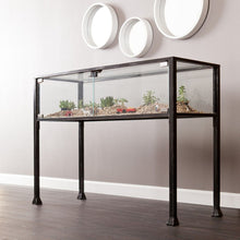 Load image into Gallery viewer, Glass Distressed Console Table With Storage - Clear / Black
