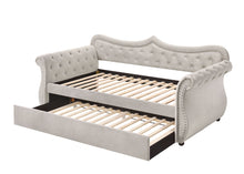 Load image into Gallery viewer, Adkins - Twin Daybed With Trundle - Beige
