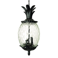 Load image into Gallery viewer, Lanai 3-Light Black Coral Hanging Light
