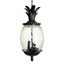 Load image into Gallery viewer, Lanai 3-Light Black Coral Hanging Light
