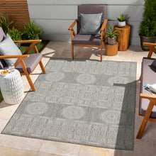 Load image into Gallery viewer, Sunshine - 5'3" X 7'3" Indoor, Outdoor Area Rug Polypropylene - Silver
