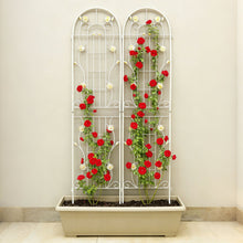Load image into Gallery viewer, Metal Garden Trellis Rustproof Trellis For Climbing Plant Outdoor Flower Support
