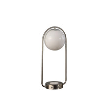 Load image into Gallery viewer, 19" Silver Clip Globe USB Table Lamp
