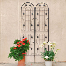 Load image into Gallery viewer, Metal Garden Trellis Rustproof Trellis For Climbing Plant Outdoor Flower Support
