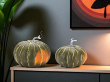 Load image into Gallery viewer, Plastic Pumpkin Thanksgiving Pumpkin Tabletop Sculpture (Set of 2) - Green / Orange
