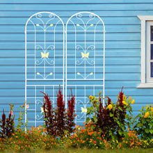 Load image into Gallery viewer, Garden Metal Trellis Rustproof Trellis For Climbing Plants Outdoor Flower Support
