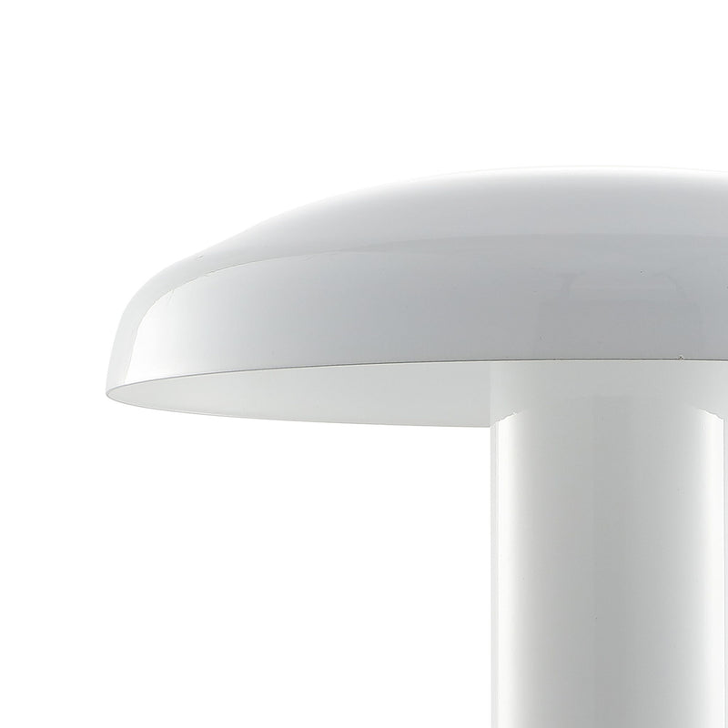 Novelty USB Table Lamp LED With Globe Shade - White