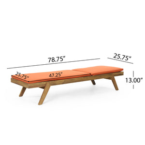 Nebulon - Outdoor Adjustable Chaise Lounge With Water Resistant Cushions (Set of 2)